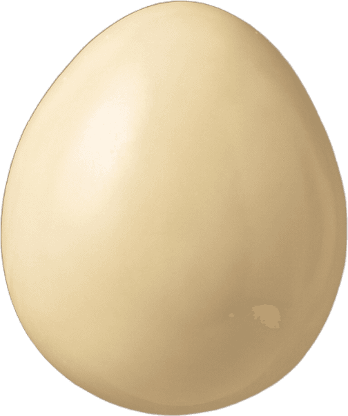 A whole strawberry sealed in white chocolate